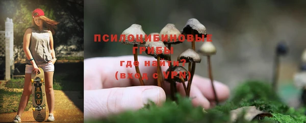 мдпв Лихославль