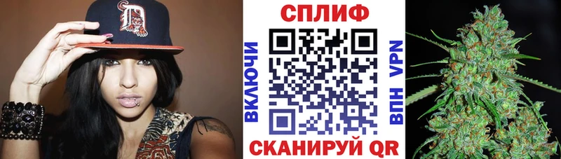 МАРИХУАНА сатива Мосальск